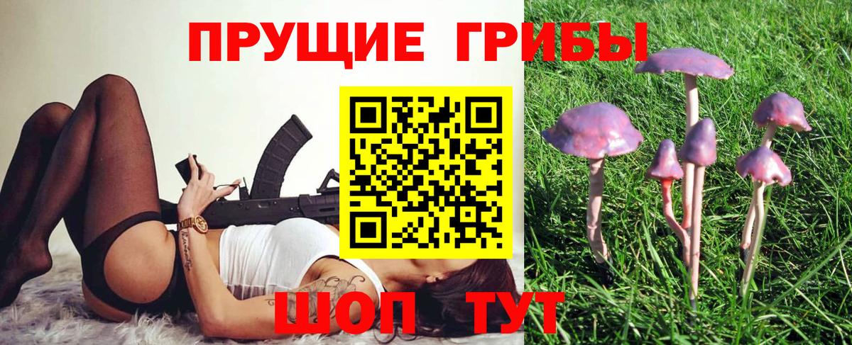 Псилоцибиновые грибы Psilocybe Азов